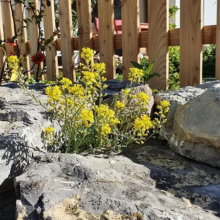 Traumhafte Gartenwohnung In Ueberlinger Hanglage - Zur Goldenen Kiwi Uberlingen Esterno foto