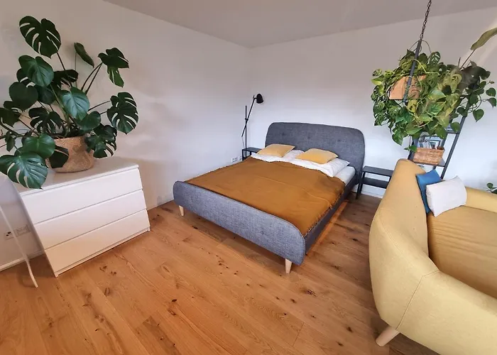 Traumhafte Gartenwohnung In Ueberlinger Hanglage - Zur Goldenen Kiwi