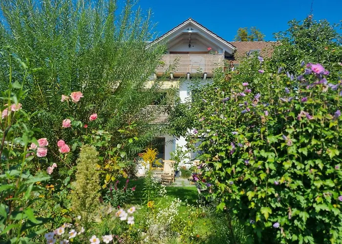 Traumhafte Gartenwohnung In Ueberlinger Hanglage - Zur Goldenen Kiwi