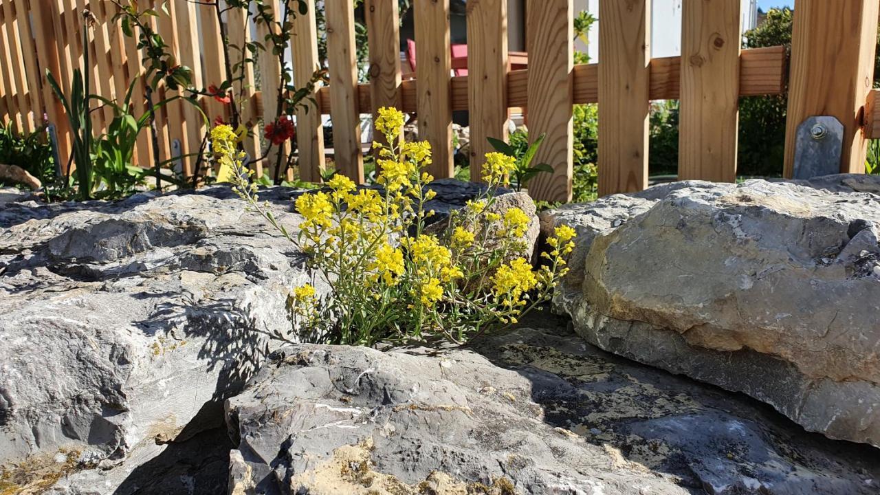 Traumhafte Gartenwohnung In Ueberlinger Hanglage - Zur Goldenen Kiwi * Uberlingen