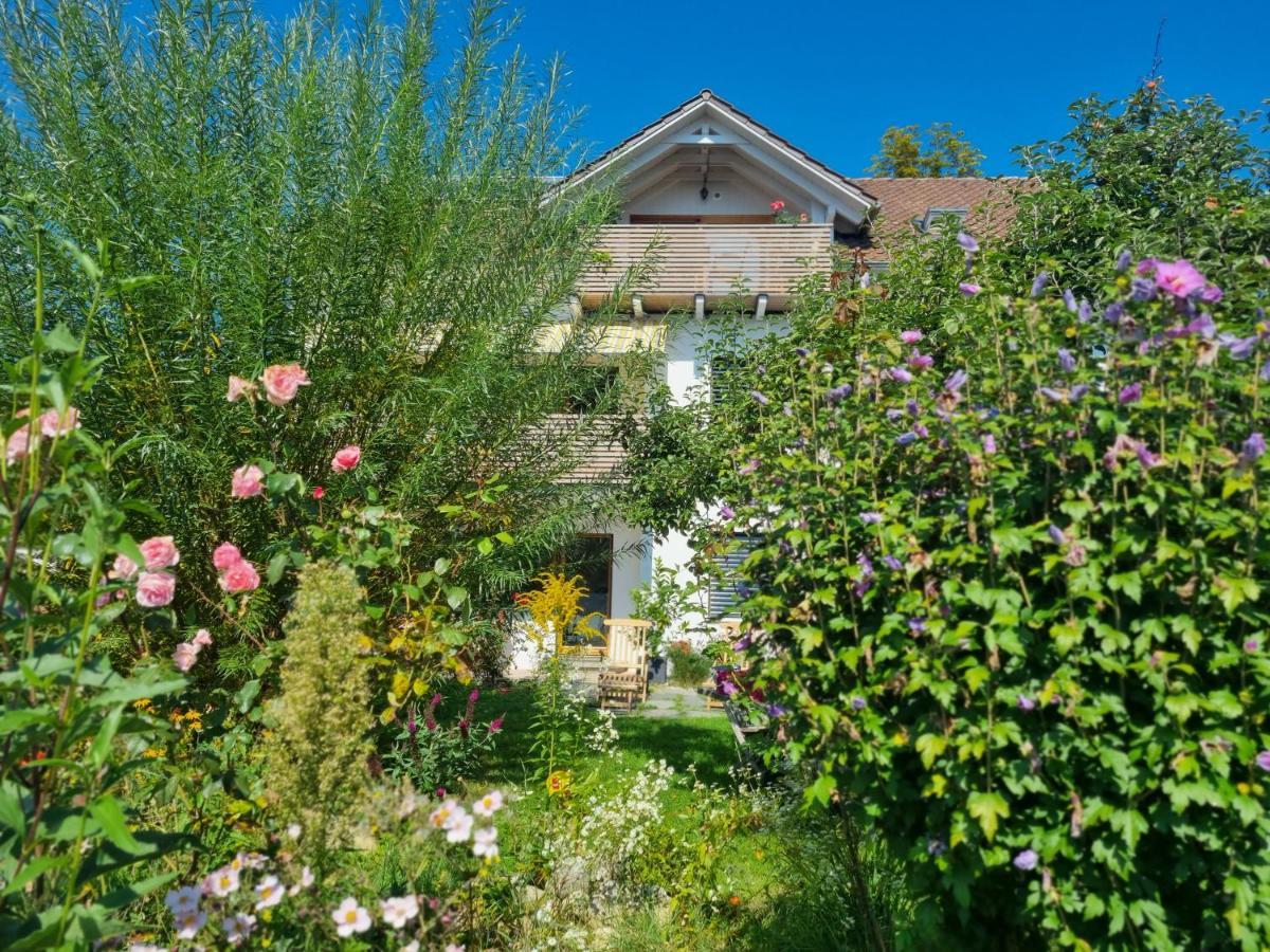 Traumhafte Gartenwohnung In Ueberlinger Hanglage - Zur Goldenen Kiwi Apartment Uberlingen
