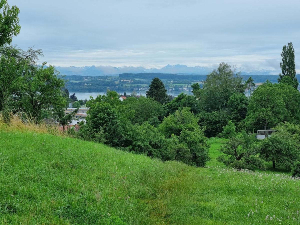 Traumhafte Gartenwohnung In Ueberlinger Hanglage - Zur Goldenen Kiwi *
